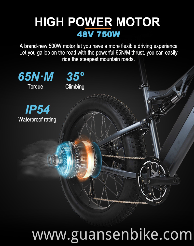 Brushless Motor Electric Fat Tire Bike